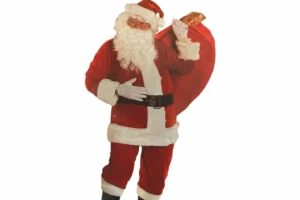 Velour Santa Suit